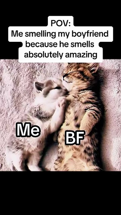 Relatable