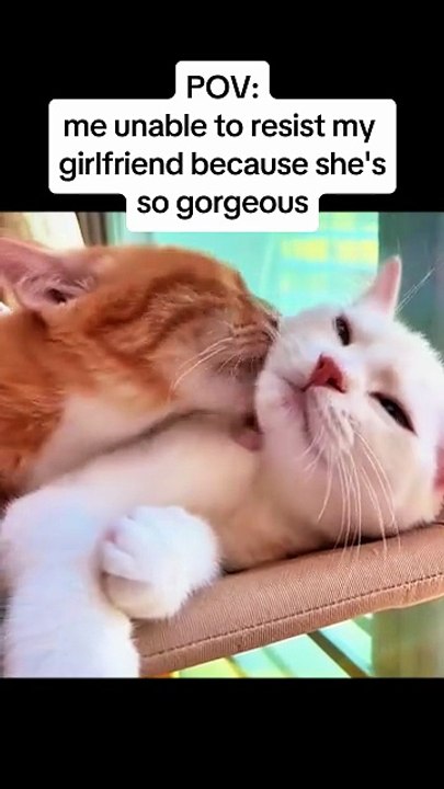 Me unable to resist my girlfriend because she’s so gorgeous