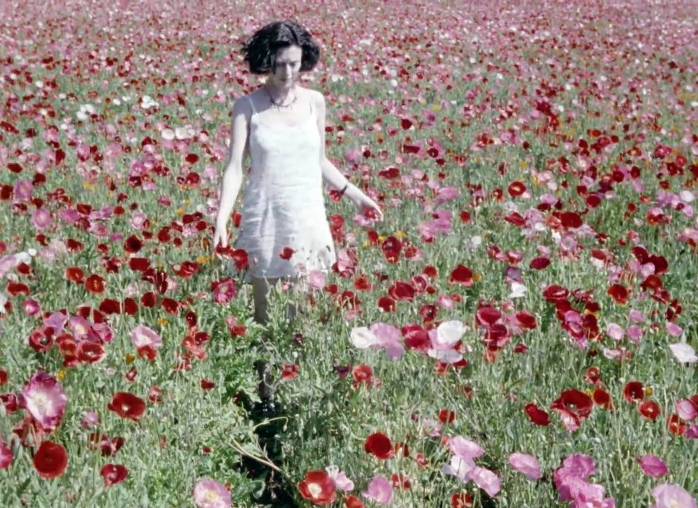 Pink Hill: Official Trailer (2019) | Kimberlee Gayheart, Kermit Leggett, Michele Lipman