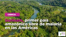 Surinam, primer país amazónico libre de malaria en las Américas