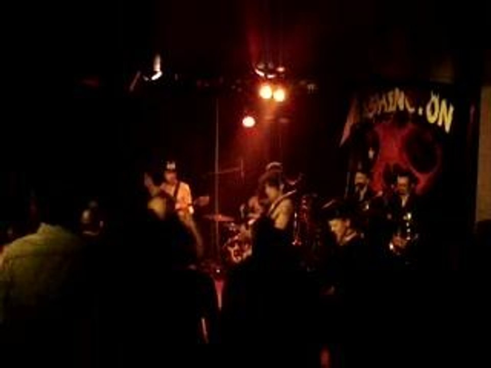 Washington Dead Cats