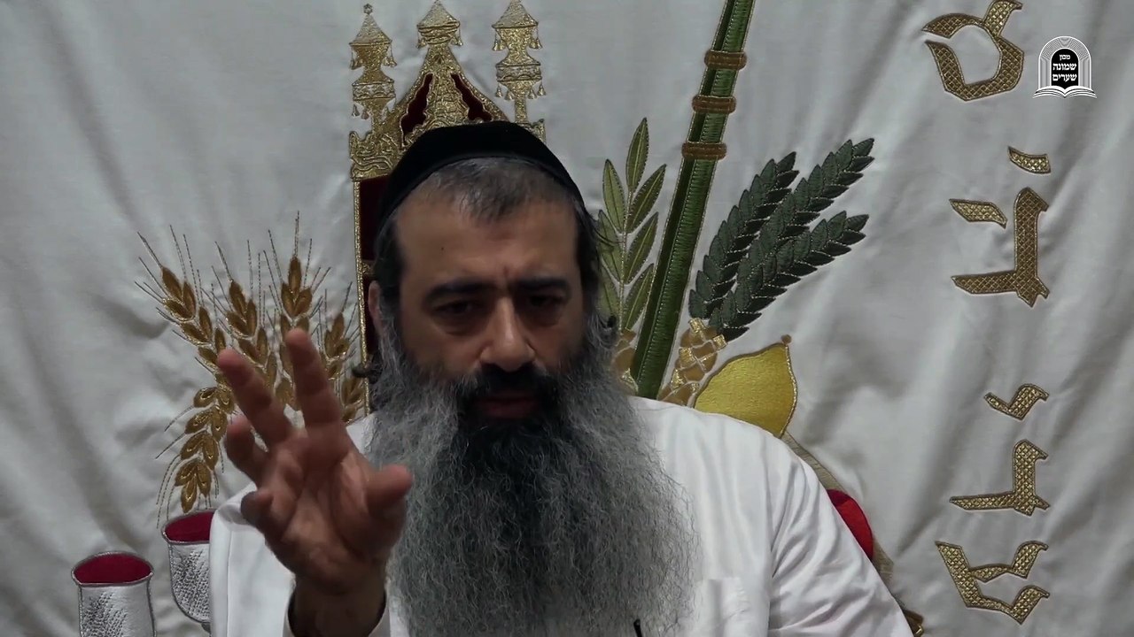תורת הערכים 02