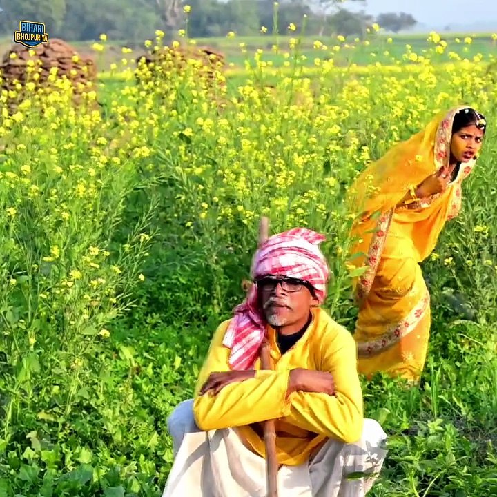 पगली का ऐ वीडियो देखकर हंसी नहीं रुकेगा रोक कर दिखाएं