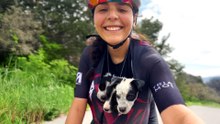 Friends On A Bike Ride Find A Litter Of Abandoned Puppies