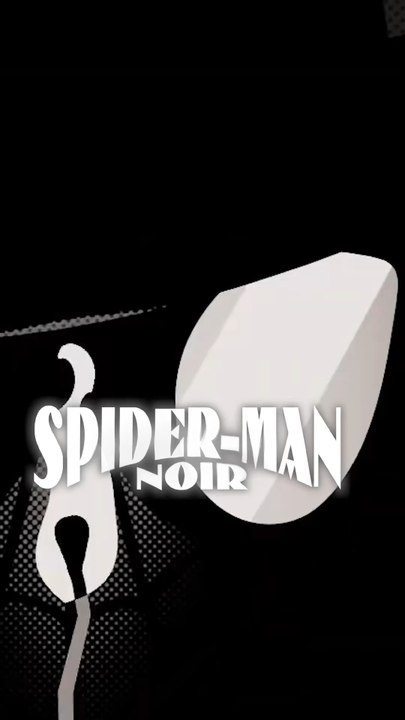Qui est spider man Noir ?