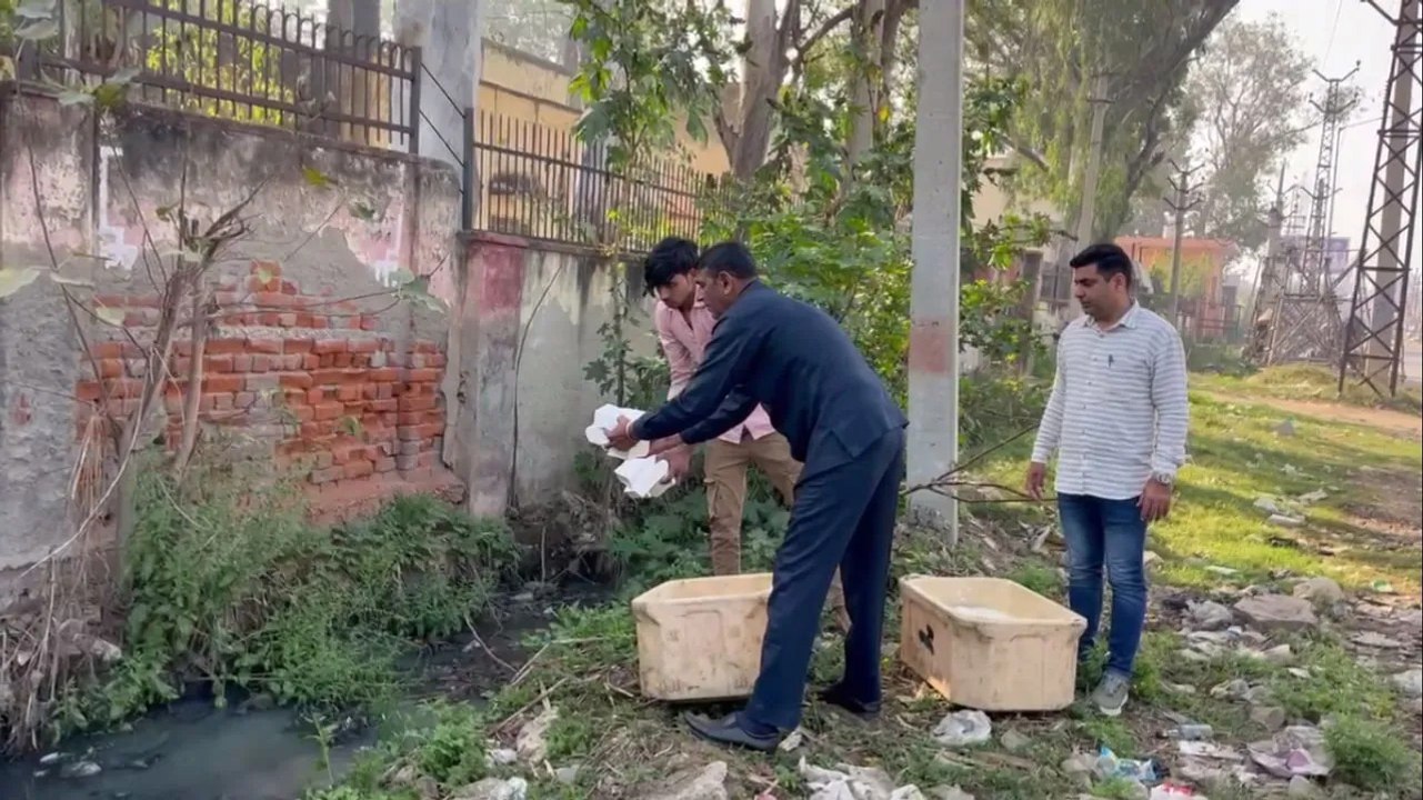 कार्रवाई: 180 किलो मिलावटी एवं सिंथेटिक पनीर कर...