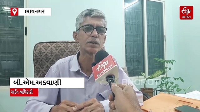 ઈટીવી ભારતના એક સવાલથી ઉભી થઈ ભાવનગર મનપાની ઢળી પડેલી ખજૂરી, ગાર્ડન વિભાગ વૃક્ષો પાછળ ખર્ચે છે આટલા પૈસા