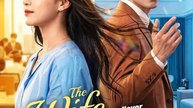 The Wife He Never Noticed Chinese Drama