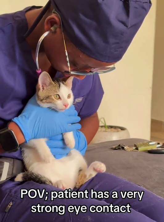 Cat’s powerlessness