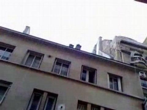 Its raining cats and dogs