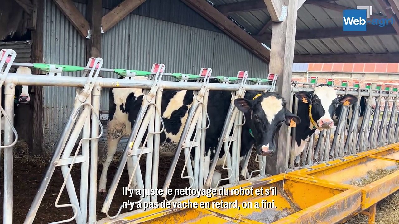 Au Gaec Lecointe : « On voulait un robot GEA ou rien »