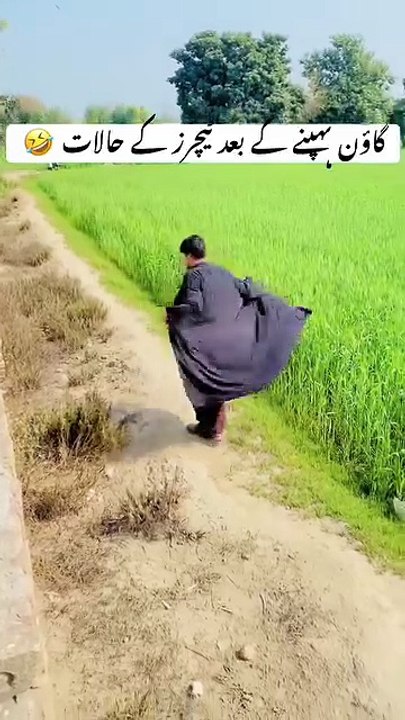 Gawn ki awaz