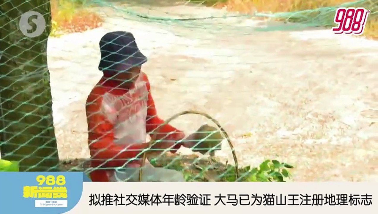 《988新闻线》：2026年02月25日 明年起高教部推统一录取机制；小学数学课增32小时！