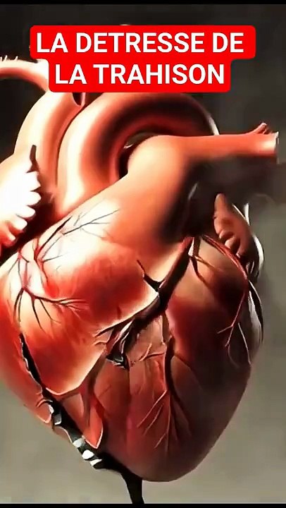 LA DETRESSE DE LA TRAHISON #combatspirituel #psaumesdedavid #etudierlabible #jésuschrist