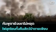 กัมพูชายังเผาไม่หยุด ไฟลุกโชนทั้งคืนสัตว์ป่าตายเพียบ | เข้มข่าวค่ำ | 25 ก.พ.69
