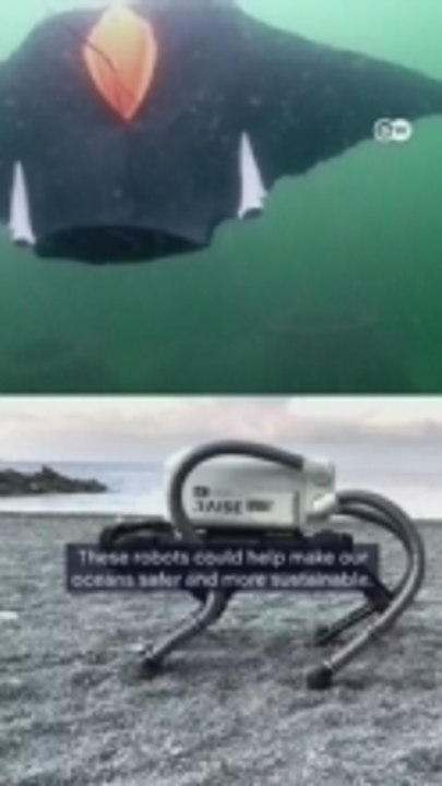How Robots Will Protect Our Oceans
