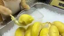 Instant Karma Don't steal a Chef's Durian! 🥭👊
