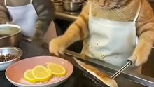 The head chef and sous chef got into a fight over who should flip the dish!