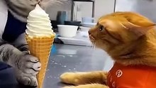 When your friend says just one bite 🙄🍦