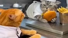 He's literally crying for a bite! 😭