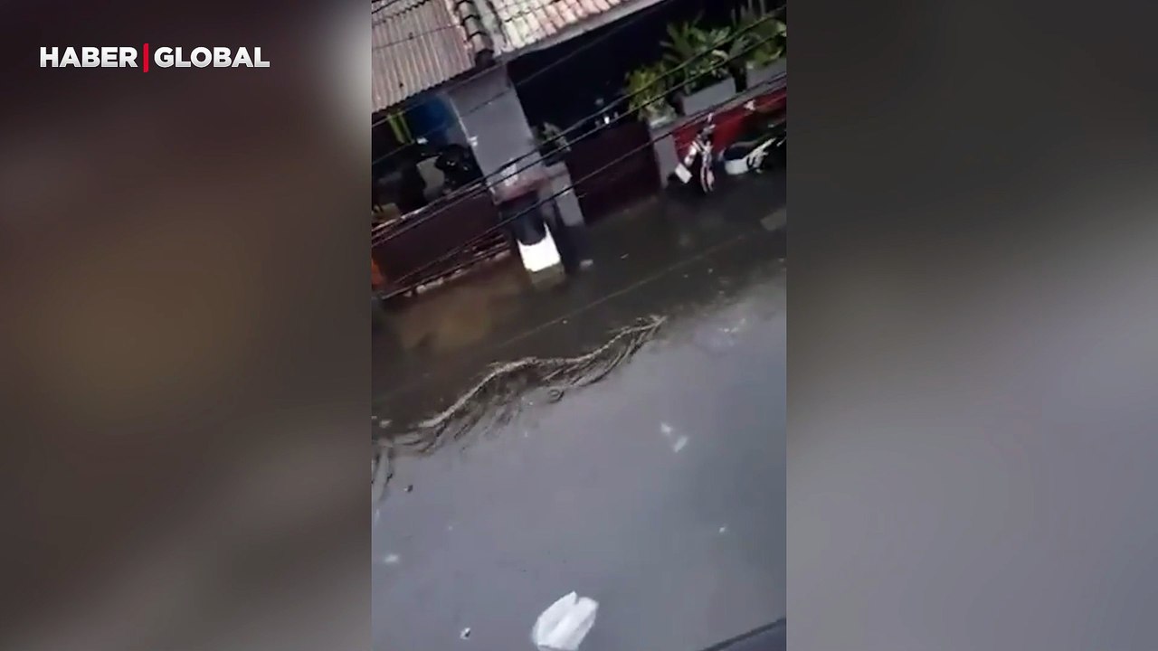 Endonezya’da yağışlar sonrası dev bir yılan görüldü