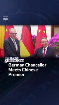 German Chancellor Meets Chinese Premier