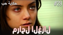 مراحل الغزال