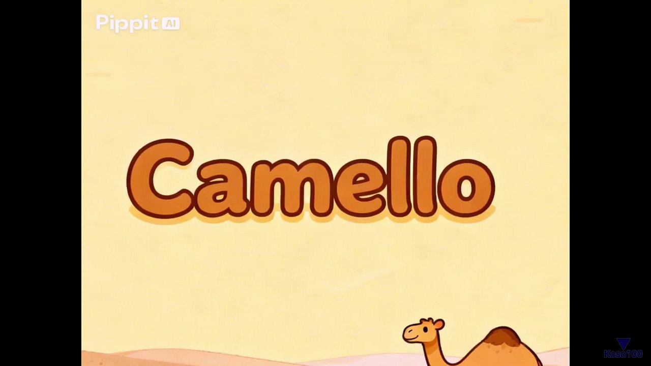 El camello y un dato