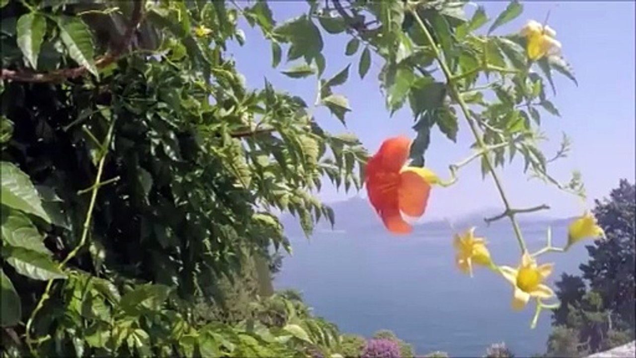 -80's disco music - The Strikers - Body Music- 1981- Extended version-