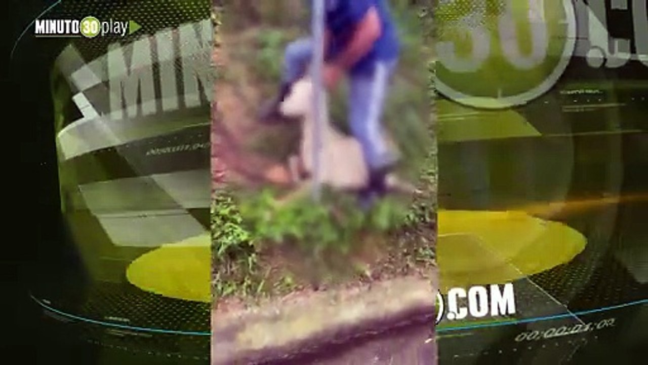 ¿Entrena perros para descuartizar cabras? Denuncian presunto maltrato animal en Altavista