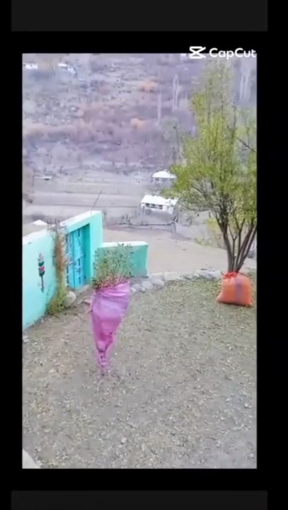short video