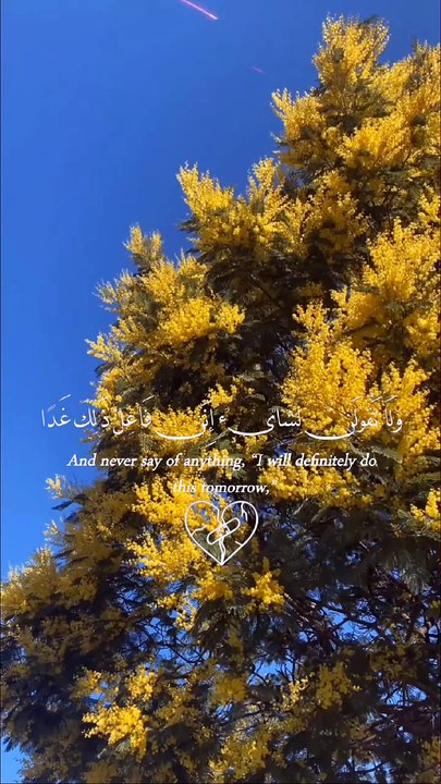 🌙✨ Surah Al-Kahf (18:23–24) — سورة الكهف 🤍 Never Say “Tomorrow” Without Allah 🌿🕊️ #love #Quran #viral #shorts #trending #youtubeshorts #SurahAlKahf #InshaAllah #Tawakkul #IslamicReminder