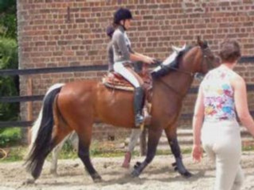 Chicca et flami