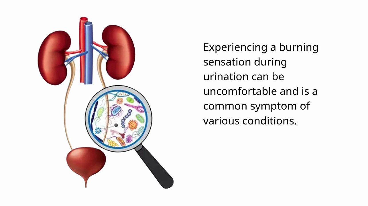Burning Sensation & Pain During Urination – What Could It Mean?