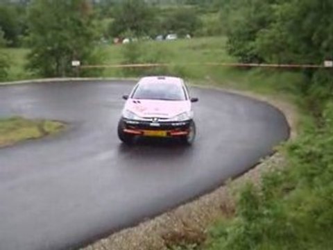 Laurent sherrer-nicolas gregoire rallye laragnais 2008