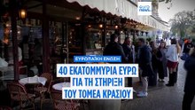 Η ΕΕ αποδεσμεύει 40 εκατ. ευρώ για τους Γάλλους οινοπαραγωγούς