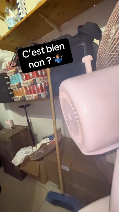Vous aimez bien ?