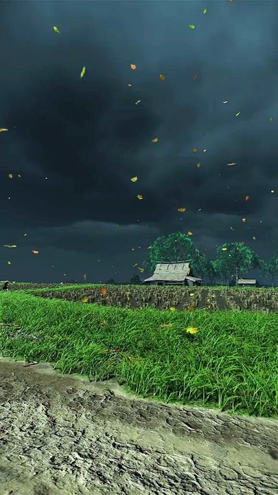 Beautiful weather