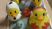 Ducks!