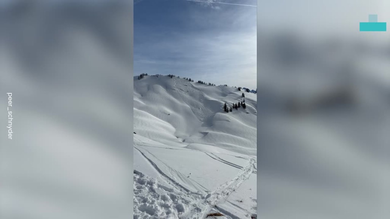 Avalanche Triggered by Animal