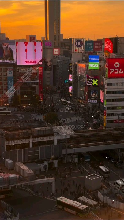This is Shibuya 渋谷 || 東京 Tokyo || Japan