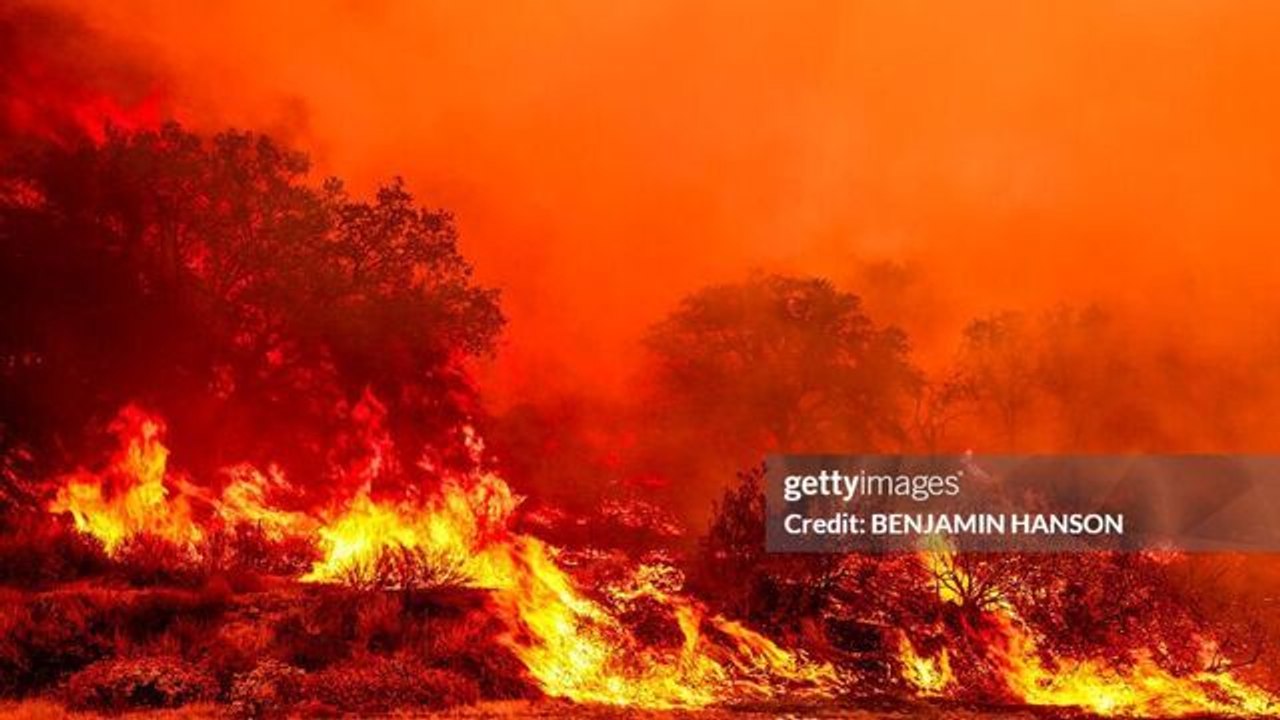 Extreme Weather Is Becoming More Normal, Gore Says