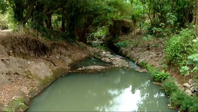 tn7-propuesta-de-municipalidad-de-montes-de-oca-para-frenar-inundaciones-250226