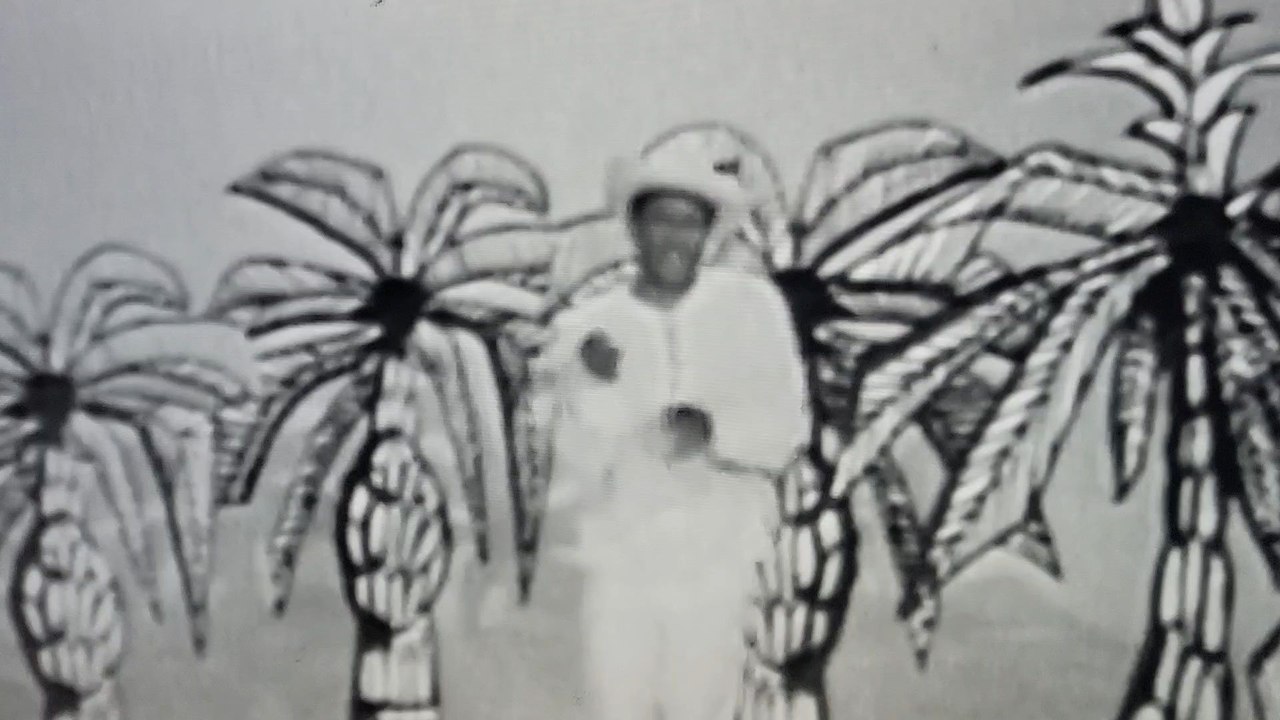 Henri Salvador : J'ai envie de Lucie