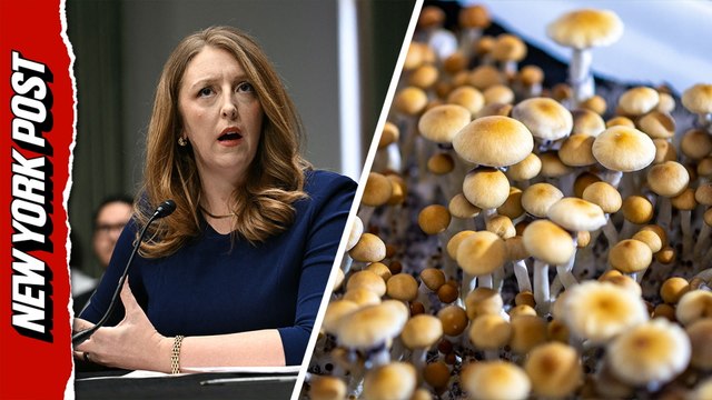 US Surgeon General nominee confirms she took psychedelic mushrooms
