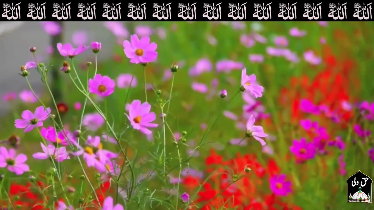 Ramzan 2026 Qalam || Fasloon Ko Takaluf || Muhammad Abubaker Khawajgi #hamd #ramzan