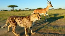 Fastest Hunt on Earth – POV