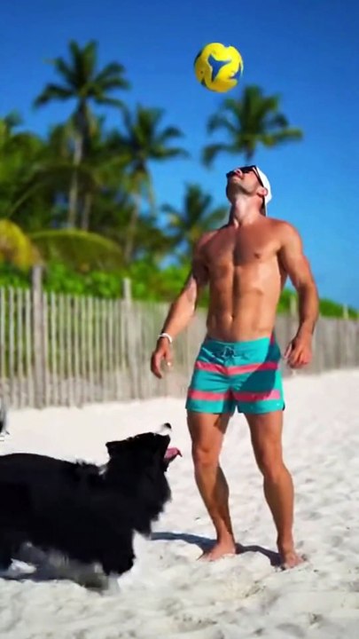 Border Collie Dog Playing #dog #kingdomofawais