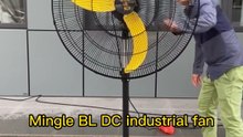 Mingletec BL DC industrial stand fan #fan #fyp #industrial