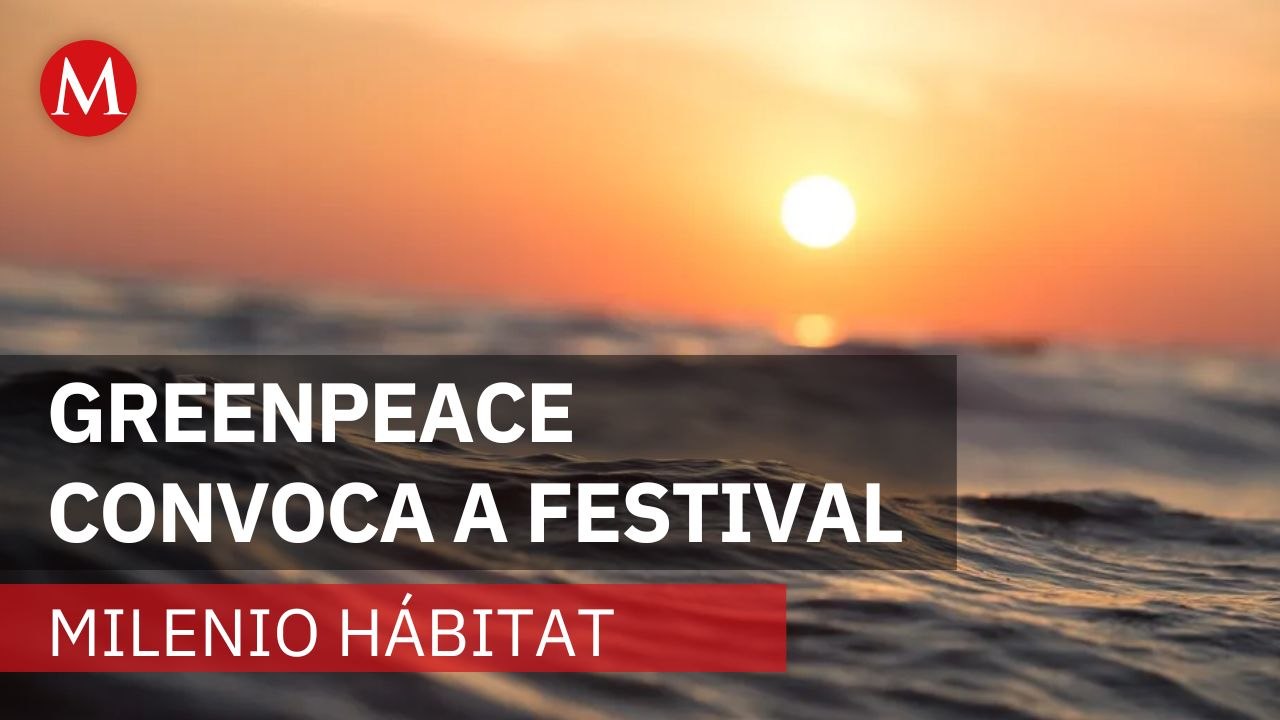 El impacto irreversible del cambio climático en los océanos mexicanos | Milenio Hábitat